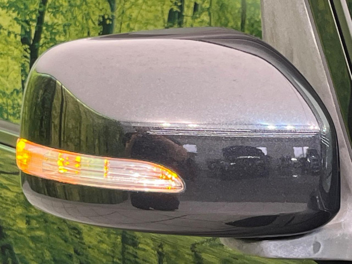 2010 Daihatsu Tanto DBA-L375S (UW-6a150f18deeef)[14]