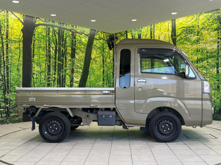 2018 Daihatsu Hiace Truck EBD-S500P (UW-6a150fd9797bd)[17]