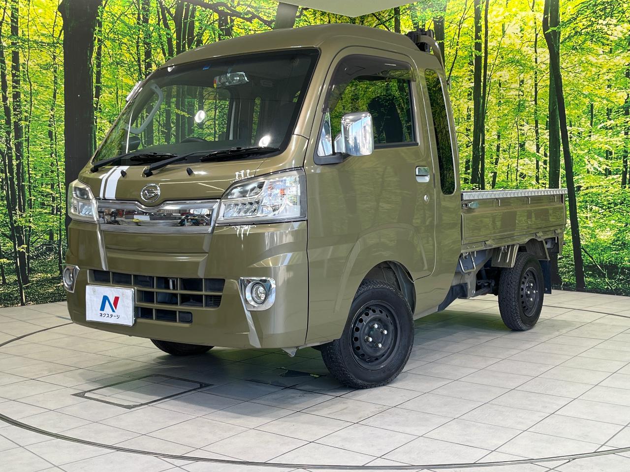 2018 Daihatsu Hiace Truck EBD-S500P