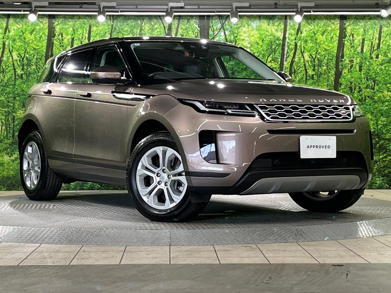 2019 Land Rover Range Rover Evoque 3DA-LZ2NA
