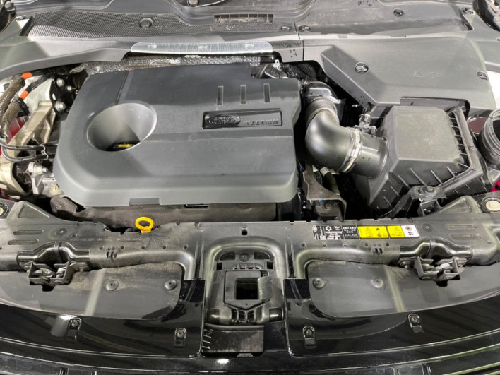 2025 Land Rover Range Rover Evoque 3LA-LZ15TB (UW-6a150fe070757)[4]