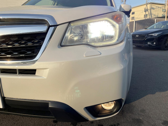 2014 Subaru Forester DBA-SJ5 (UW-6a150fe16b137)[15]