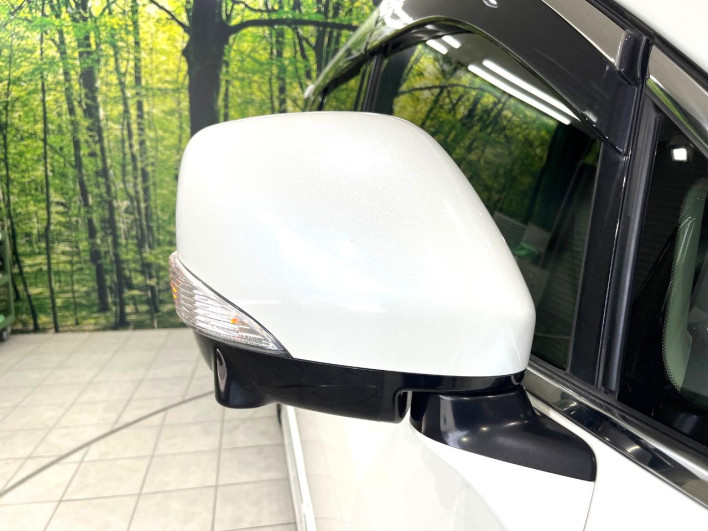 2013 Nissan Elgrand DBA-TNE52 (UW-6a150fea92ebc)[14]