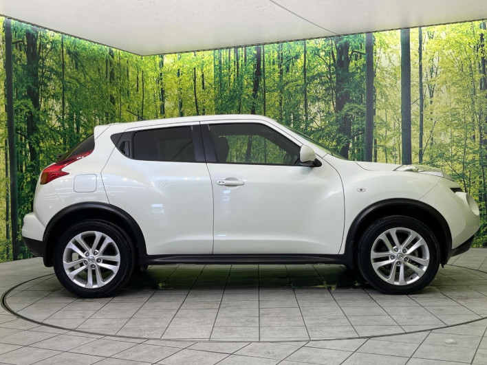 2012 Nissan JUKE DBA-YF15 (UW-6a151007ab4b0)[7]