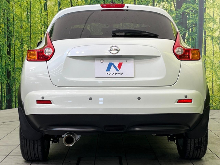 2012 Nissan JUKE DBA-YF15 (UW-6a151007ab4b0)[9]