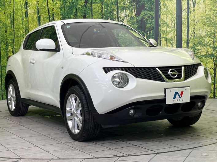 2012 Nissan JUKE DBA-YF15 (UW-6a151007ab4b0)[6]