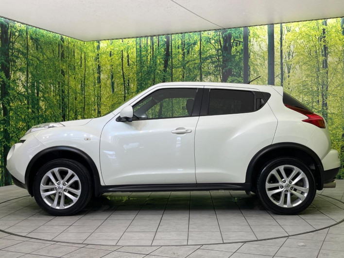 2012 Nissan JUKE DBA-YF15 (UW-6a151007ab4b0)[11]