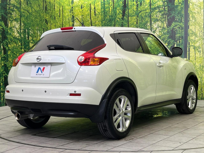 2012 Nissan JUKE DBA-YF15 (UW-6a151007ab4b0)[8]