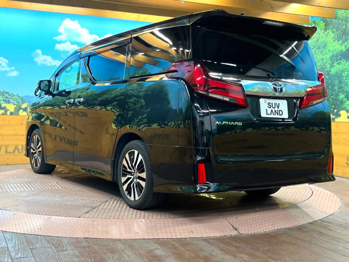 2018 Toyota Alphard DBA-AGH30W (UW-6a165fa289795)[8]