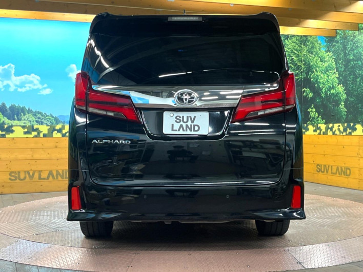 2018 Toyota Alphard DBA-AGH30W (UW-6a165fa289795)[9]