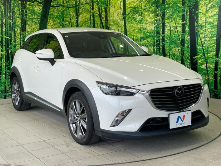 2017 Mazda CX-3 LDA-DK5FW (UW-6a165fed2062b)[26]
