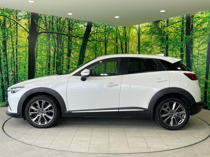 2017 Mazda CX-3 LDA-DK5FW (UW-6a165fed2062b)[7]