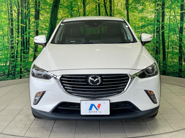 2017 Mazda CX-3 LDA-DK5FW (UW-6a165fed2062b)[27]