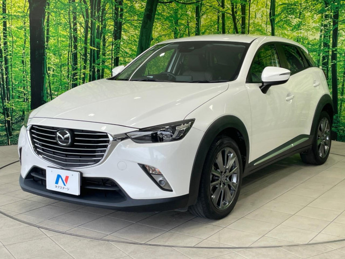 2017 Mazda CX-3 LDA-DK5FW (UW-6a165fed2062b)[6]