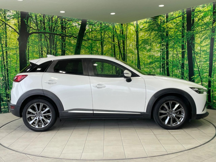 2017 Mazda CX-3 LDA-DK5FW (UW-6a165fed2062b)[25]