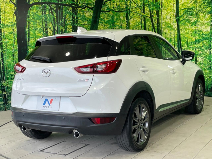 2017 Mazda CX-3 LDA-DK5FW (UW-6a165fed2062b)[24]