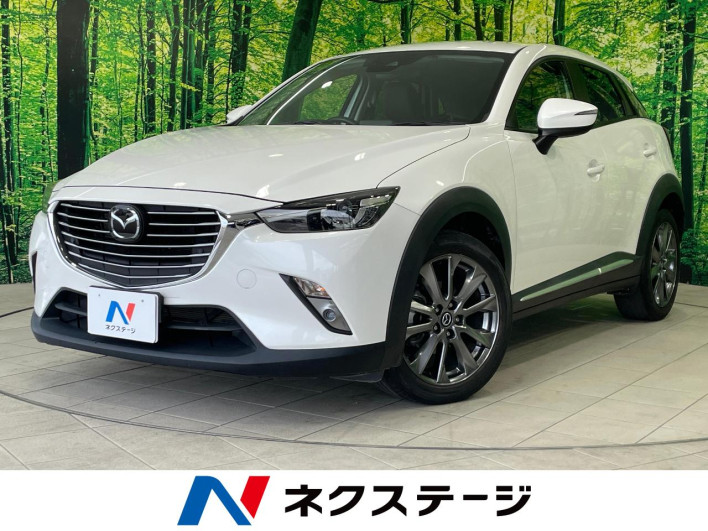2017 Mazda CX-3 LDA-DK5FW (UW-6a165fed2062b)[3]