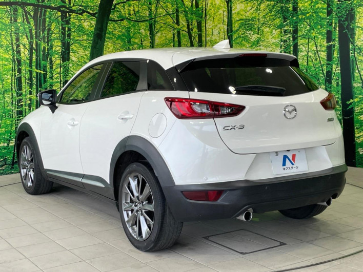 2017 Mazda CX-3 LDA-DK5FW (UW-6a165fed2062b)[8]