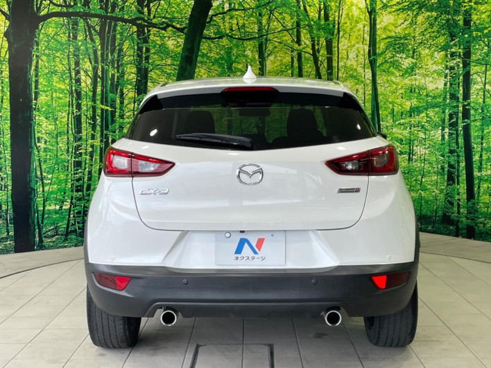 2017 Mazda CX-3 LDA-DK5FW (UW-6a165fed2062b)[23]