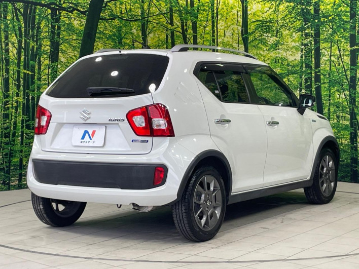 2017 Suzuki Ignis DAA-FF21S (UW-6a165ffbafbbf)[16]