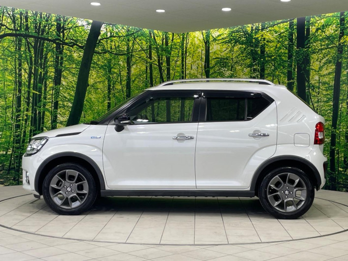 2017 Suzuki Ignis DAA-FF21S (UW-6a165ffbafbbf)[13]