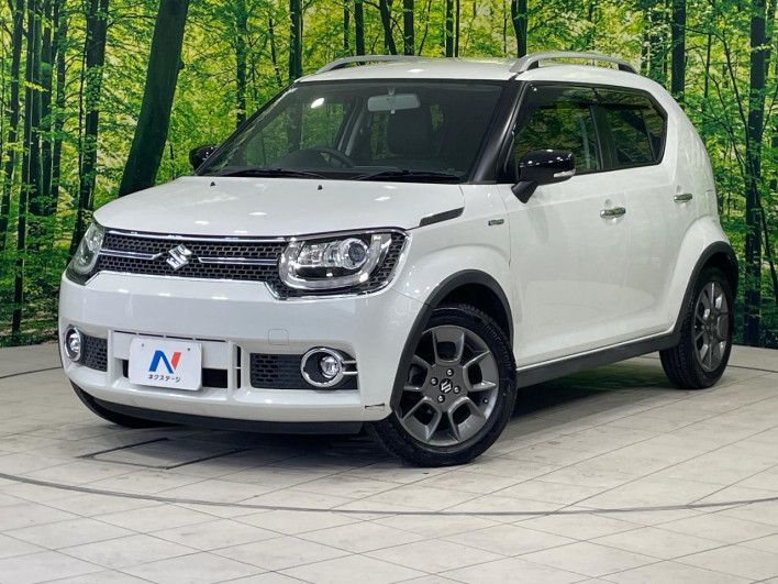 2017 Suzuki Ignis DAA-FF21S (UW-6a165ffbafbbf)[0]