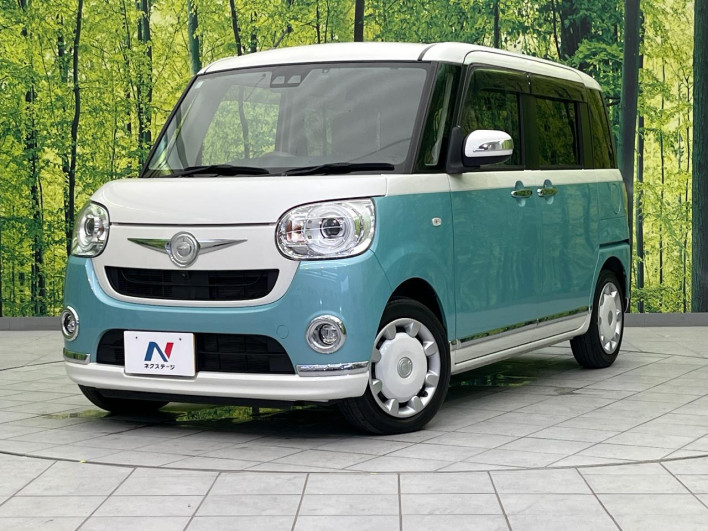 2019 Daihatsu Move Canbus 5BA-LA800S (UW-6a16609df0791)[0]
