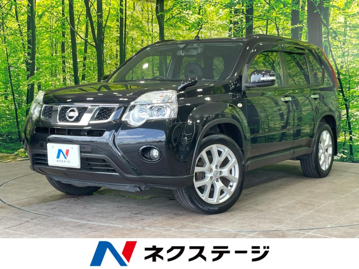 2013 Nissan X-Trail DBA-NT31 (UW-6a16612e92f8a)[3]
