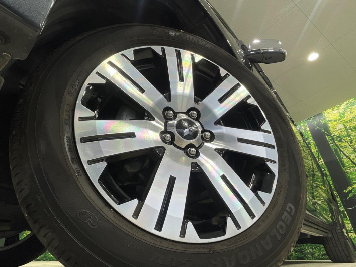 2024 Mitsubishi Delica D:5 3DA-CV1W (UW-6a17b1968c279)[18]