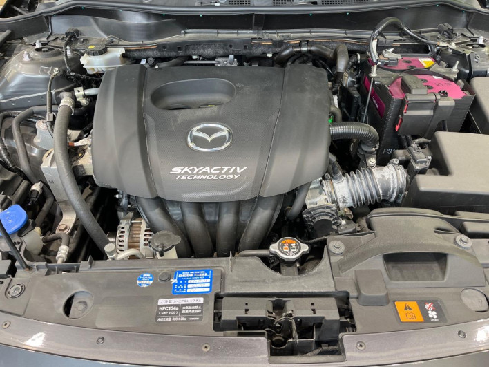 2017 Mazda Demio DBA-DJ3FS (UW-6a17b19d37ce0)[8]