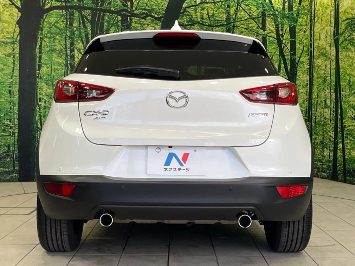 2016 Mazda CX-3 LDA-DK5AW (UW-6a17b1a12de22)[27]