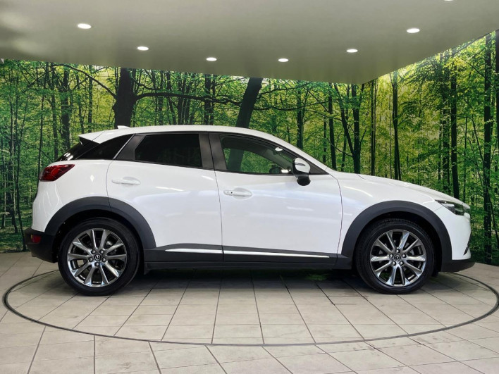 2016 Mazda CX-3 LDA-DK5AW (UW-6a17b1a12de22)[22]