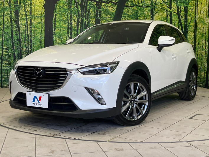 2016 Mazda CX-3 LDA-DK5AW (UW-6a17b1a12de22)[0]
