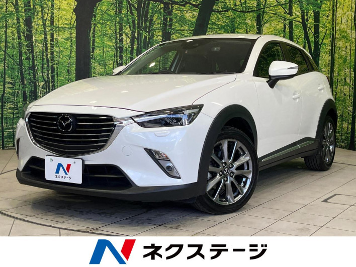 2016 Mazda CX-3 LDA-DK5AW (UW-6a17b1a12de22)[3]