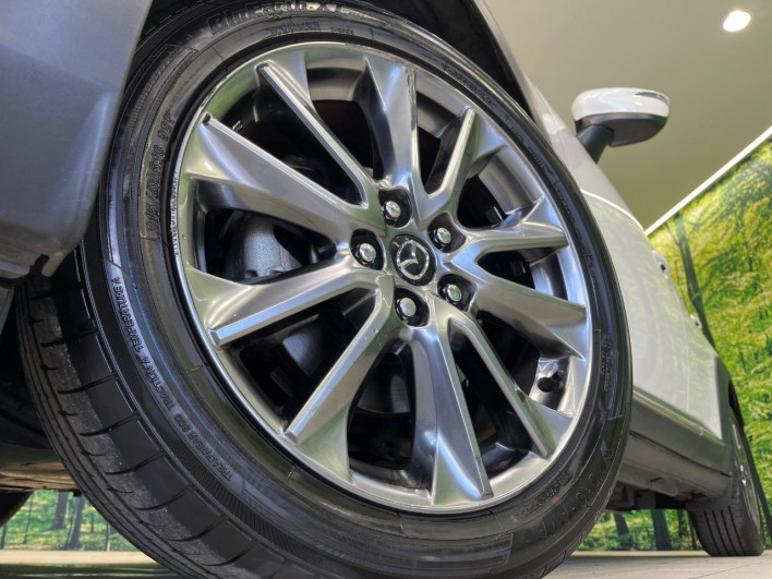 2016 Mazda CX-3 LDA-DK5AW (UW-6a17b1a12de22)[6]