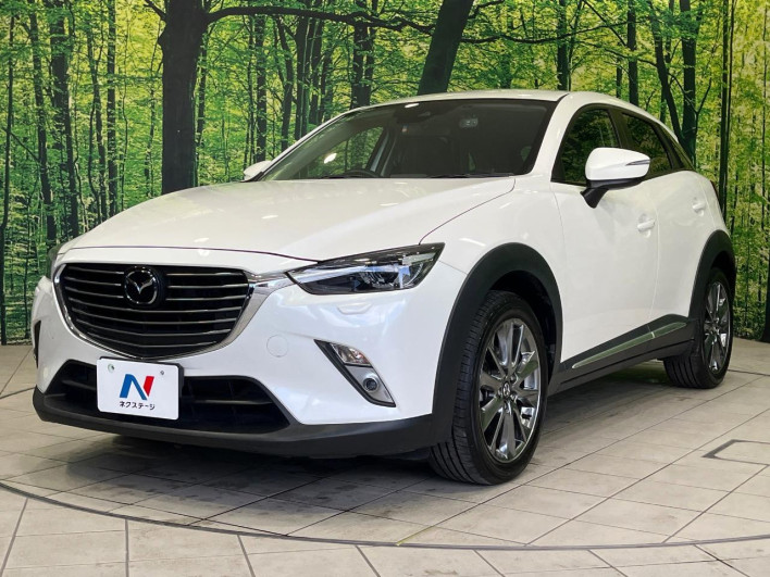 2016 Mazda CX-3 LDA-DK5AW (UW-6a17b1a12de22)[19]