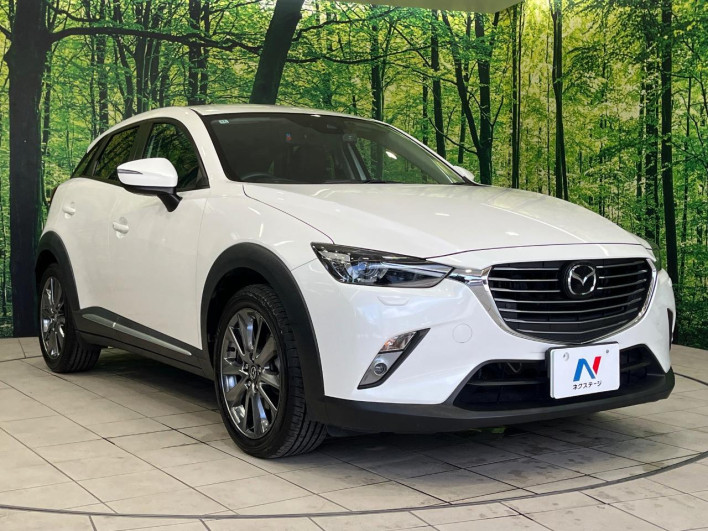 2016 Mazda CX-3 LDA-DK5AW (UW-6a17b1a12de22)[21]