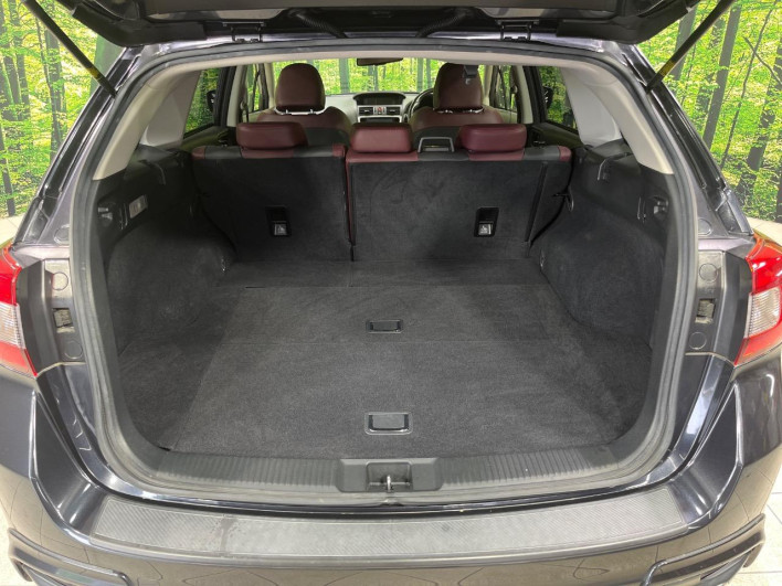 2016 Subaru Levorg DBA-VM4 (UW-6a17b31b756a6)[4]