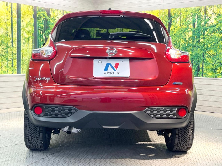 2015 Nissan JUKE DBA-YF15 (UW-6a17b33020ef8)[11]