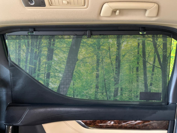 2019 Toyota Alphard Hybrid DAA-AYH30W (UW-6a19033109a7d)[9]