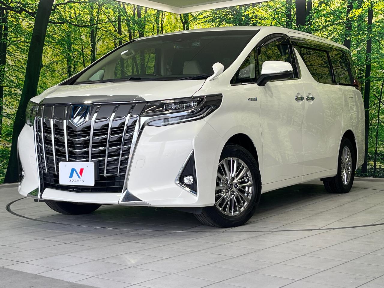 2019 Toyota Alphard Hybrid DAA-AYH30W