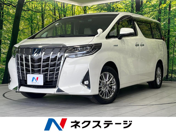 2019 Toyota Alphard Hybrid DAA-AYH30W (UW-6a19033109a7d)[3]