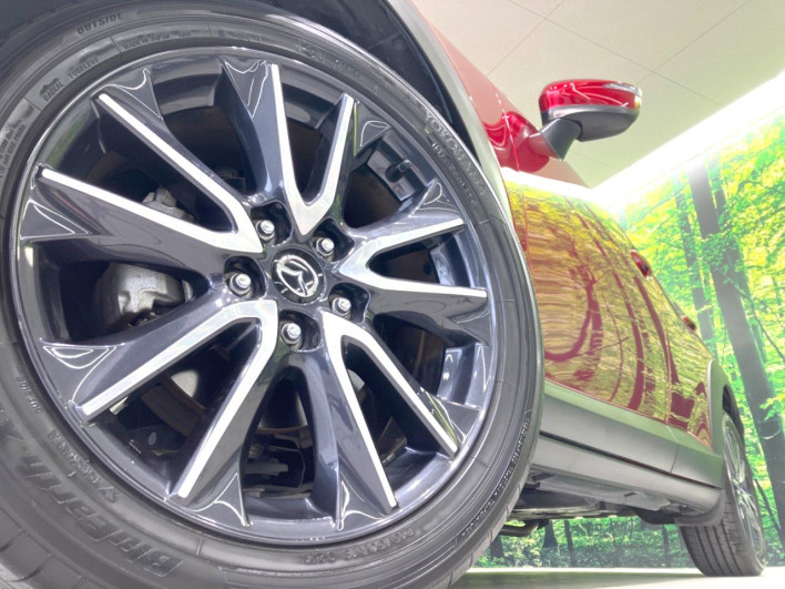 2018 Mazda CX-3 6BA-DKEFW (UW-6a1903724d611)[13]