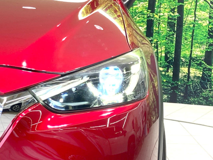 2018 Mazda CX-3 6BA-DKEFW (UW-6a1903724d611)[9]