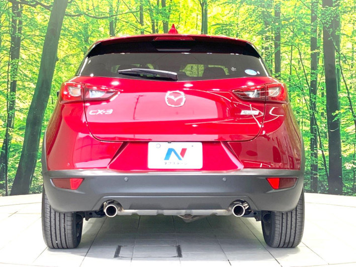 2018 Mazda CX-3 6BA-DKEFW (UW-6a1903724d611)[19]