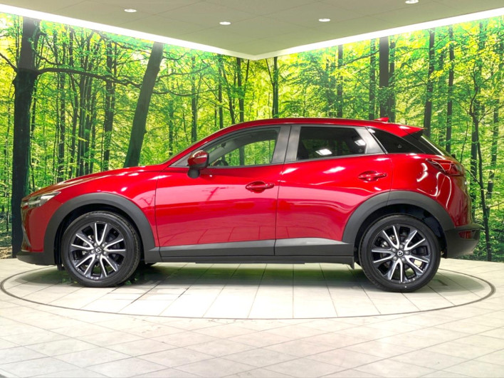 2018 Mazda CX-3 6BA-DKEFW (UW-6a1903724d611)[17]