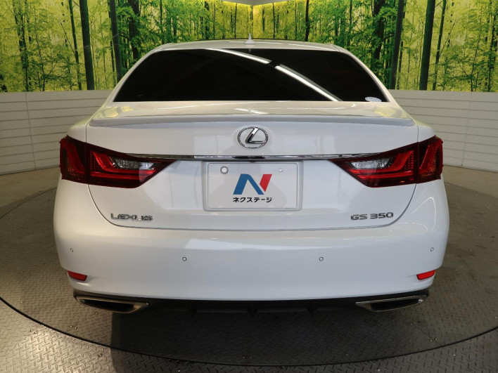 2013 Lexus GS DBA-GRL10 (UW-6a1903a3c32aa)[9]