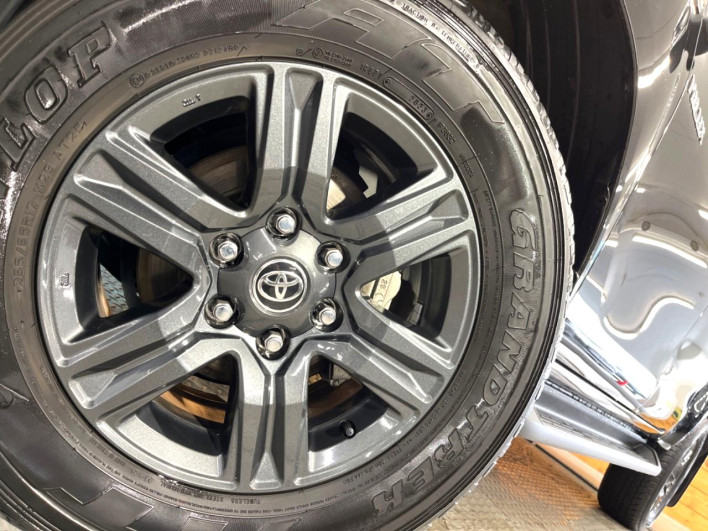 2023 Toyota Hilux 3DF-GUN125 (UW-6a1903b0b2d5d)[21]