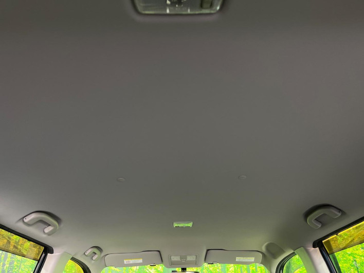 2010 Nissan X-Trail DBA-NT31 (UW-6a1904c287573)[24]