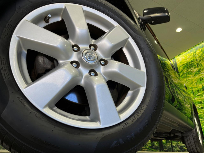 2010 Nissan X-Trail DBA-NT31 (UW-6a1904c287573)[5]